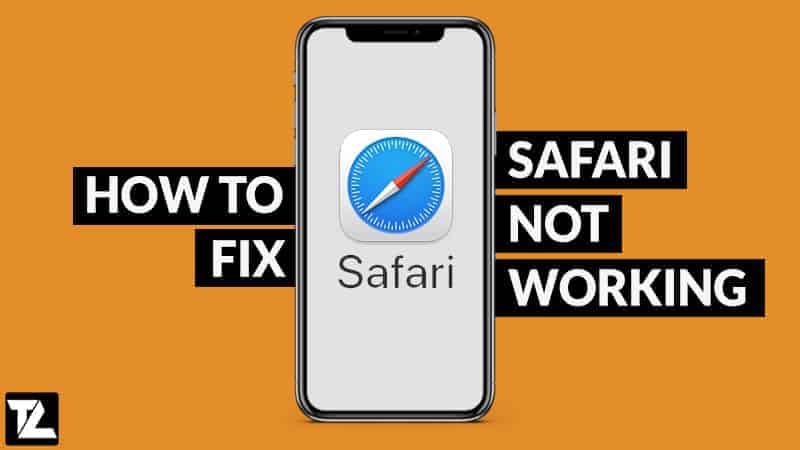 ipad safari search not working